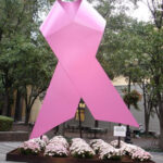 סמל המודעות למחלת סרטן השד. מקור: ויקיפדיה ברשיון cc2-by. צילום: Jason Meredith