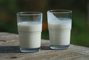 חלב. מקור: ויקיפדיה ברשיון cc3-by-sa. צילום: Ukko-wc