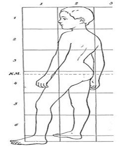 פרופורציות גוף של ילד. מקור: ויקיפדיה ברשיון חופשי. איור: Carl Heinrich Stratz