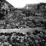 שואה: חלק מגופות אסירים ממחנה הריכוז נורדהאוזן שהומתו ע