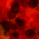 פלזמת דם: הורדת כתמי דם מבגדים. אילוסטרציה: Pixabay Gerd Altmann