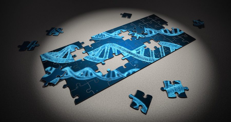 אבחון גנטי טרום השרשה PGD. אילוסטרציה: Arek Socha Pixabay