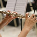 מה הן ההשפעות של חינוך מוזיקלי על כישורים קוגניטביים כמו זיכרון ? צילום:Pixabay Brenda Geisse-30