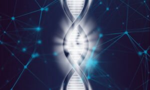 מהו טלומר ומהם תפקידם של טלומרים בתפקוד הגנטי התאי. צילום: Pixabay TheDigitalArtist
