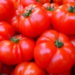 האם לא בריא או בריא לאכול עגבניה? האם עגביות זה רעיל? מה החסרונות ותופעות הלוואי בצריכת עגבניות? צילום: LoggaWiggler Pixabay